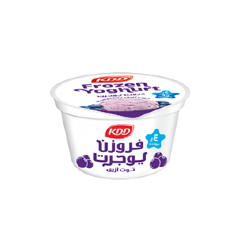 Frozen Yoghurt Blueberry Cups 170ML 6Pcs